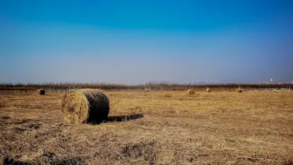 Winzinator Casino Application mobile